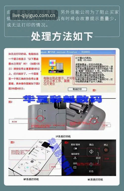 奇异果旧版闪退修复实用指南：哪个方案更靠谱？